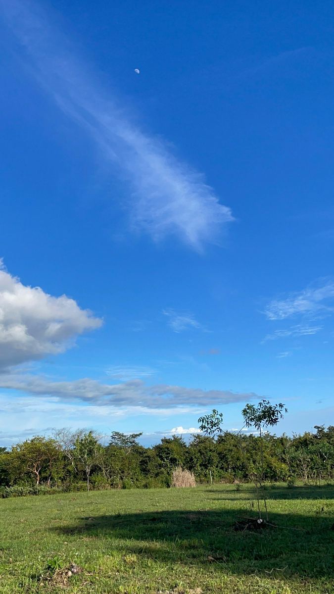 Vista del lote al atardecer con cielo azul y luna